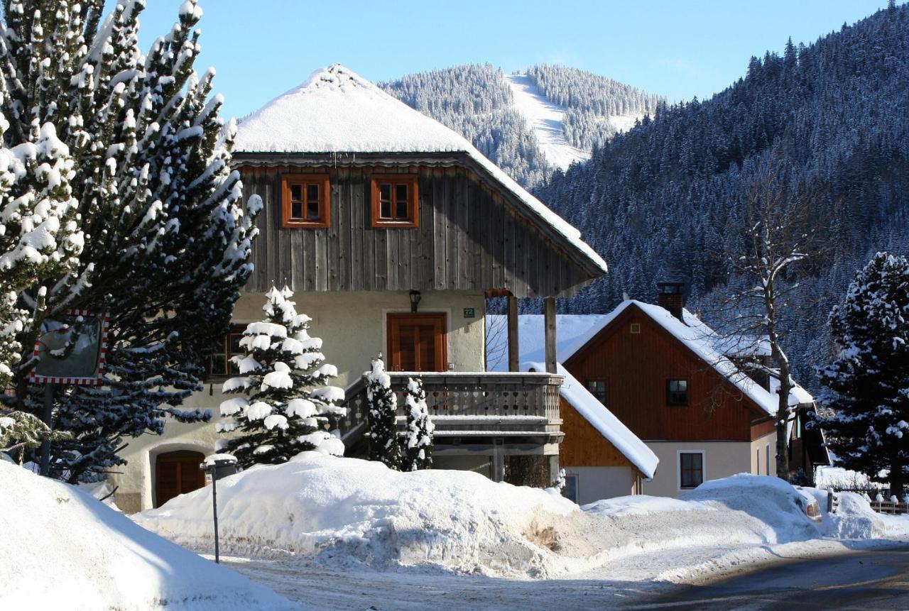 Ferienhaus Alte Muehle Hohentauern Extérieur photo